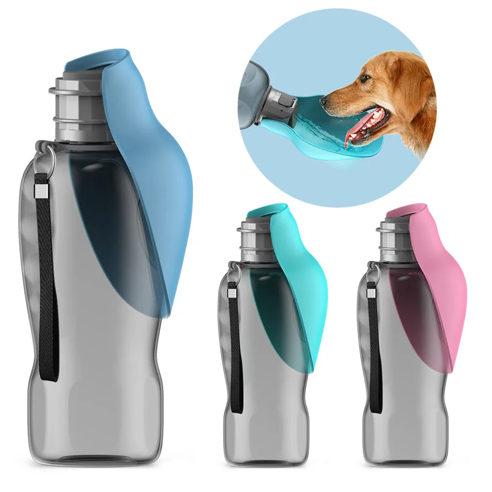 Bouteille d'eau portable pour chien