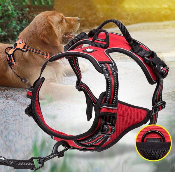 SafetyHarness™- Harnais pour animal de compagnie - NOS ZAMIMOS